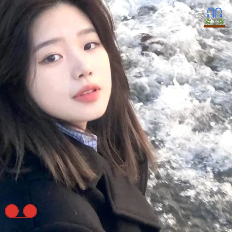 半夏